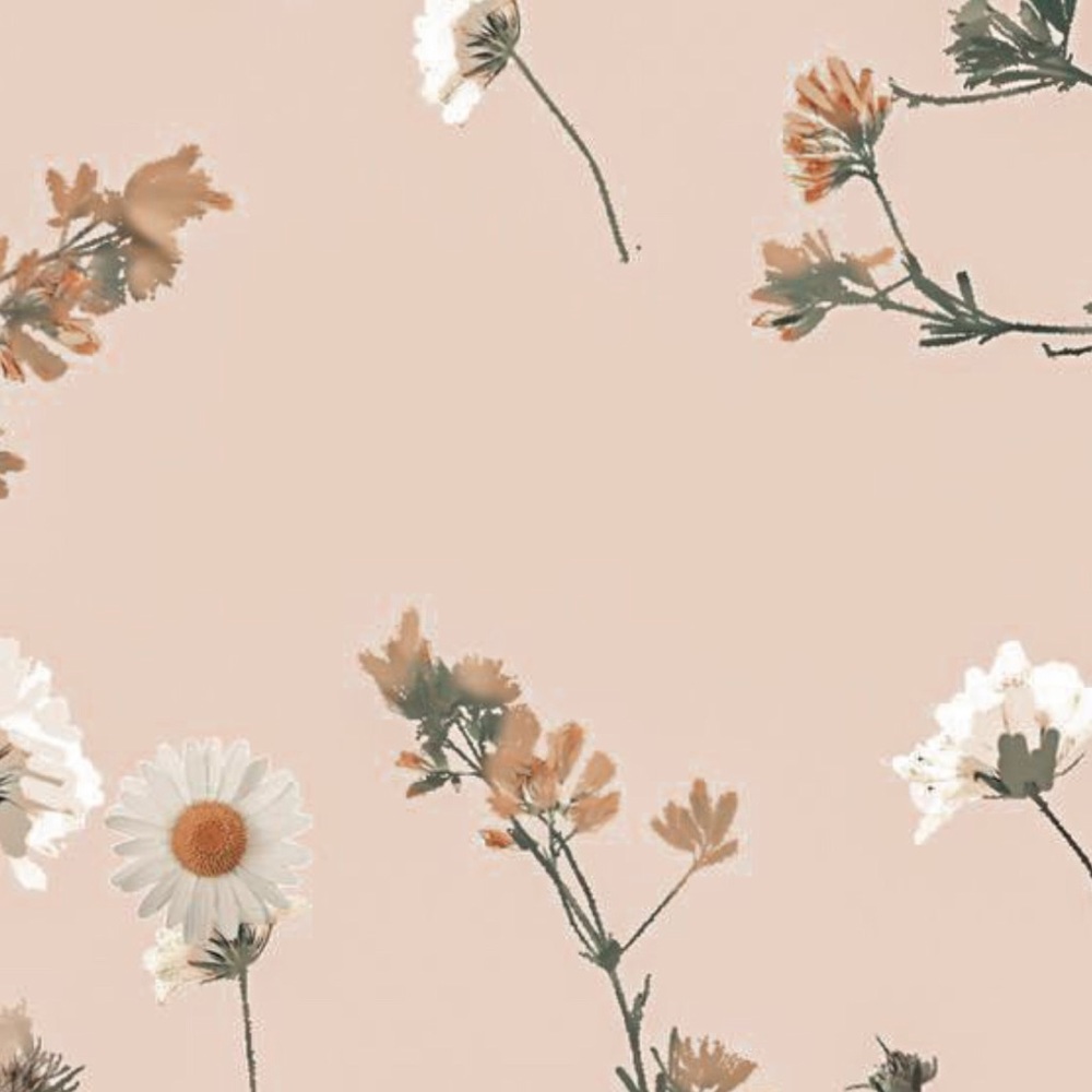 Meet your Posher, Brooklynn